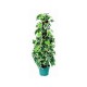 Artificial plant - Shelly BELOW COST
